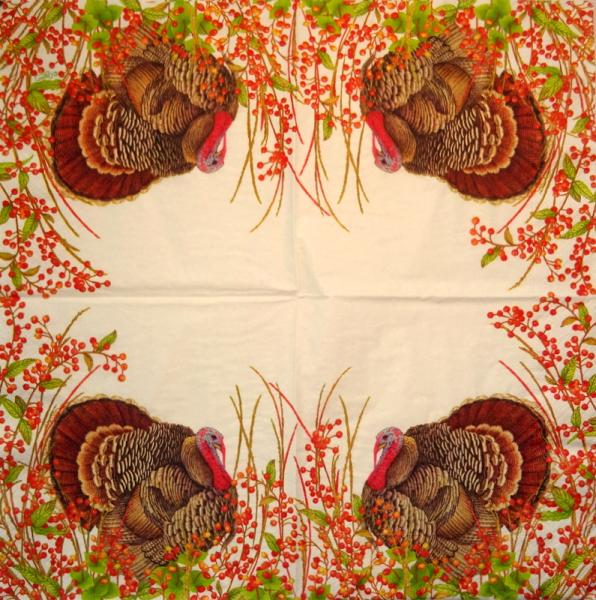 043 Peacock - 3-ply - Converting 2002